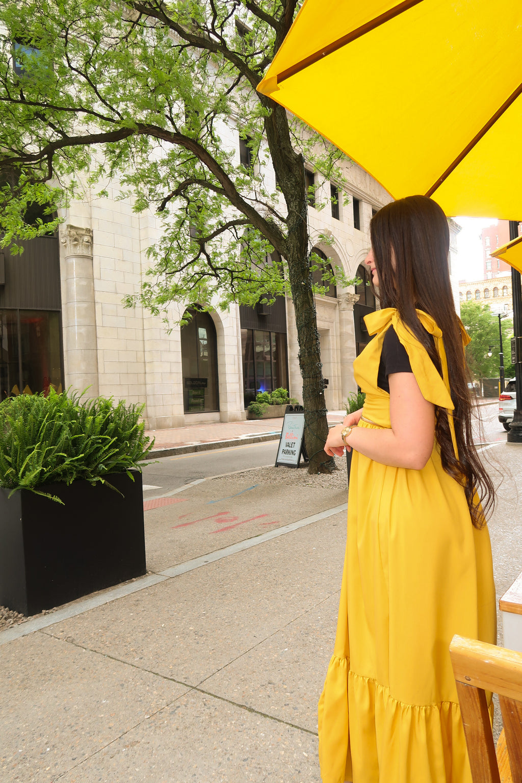 SERENE DRESS